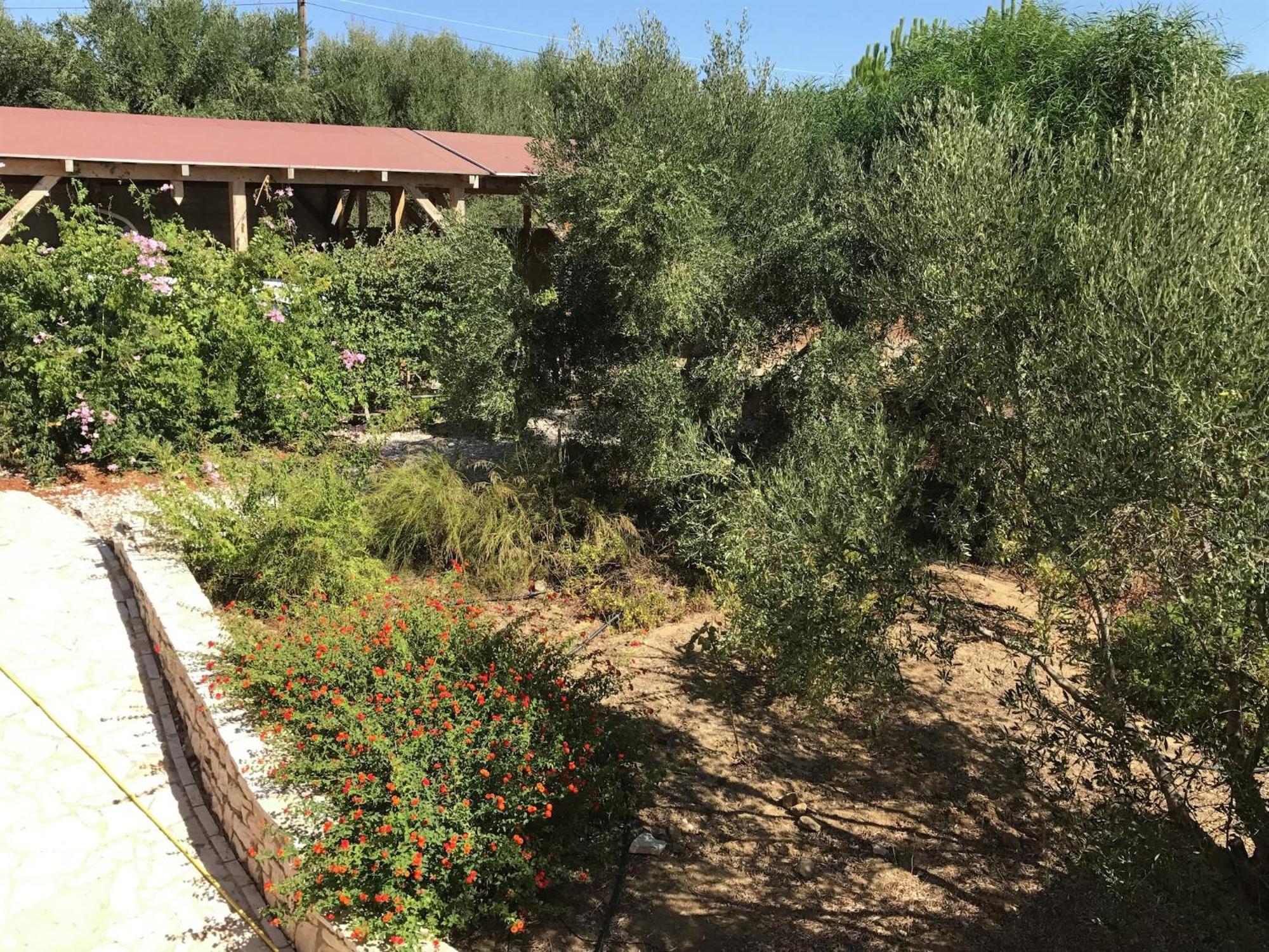 Luxurious Villa In Peloponnese With Swimming Pool Kamaria  Екстер'єр фото